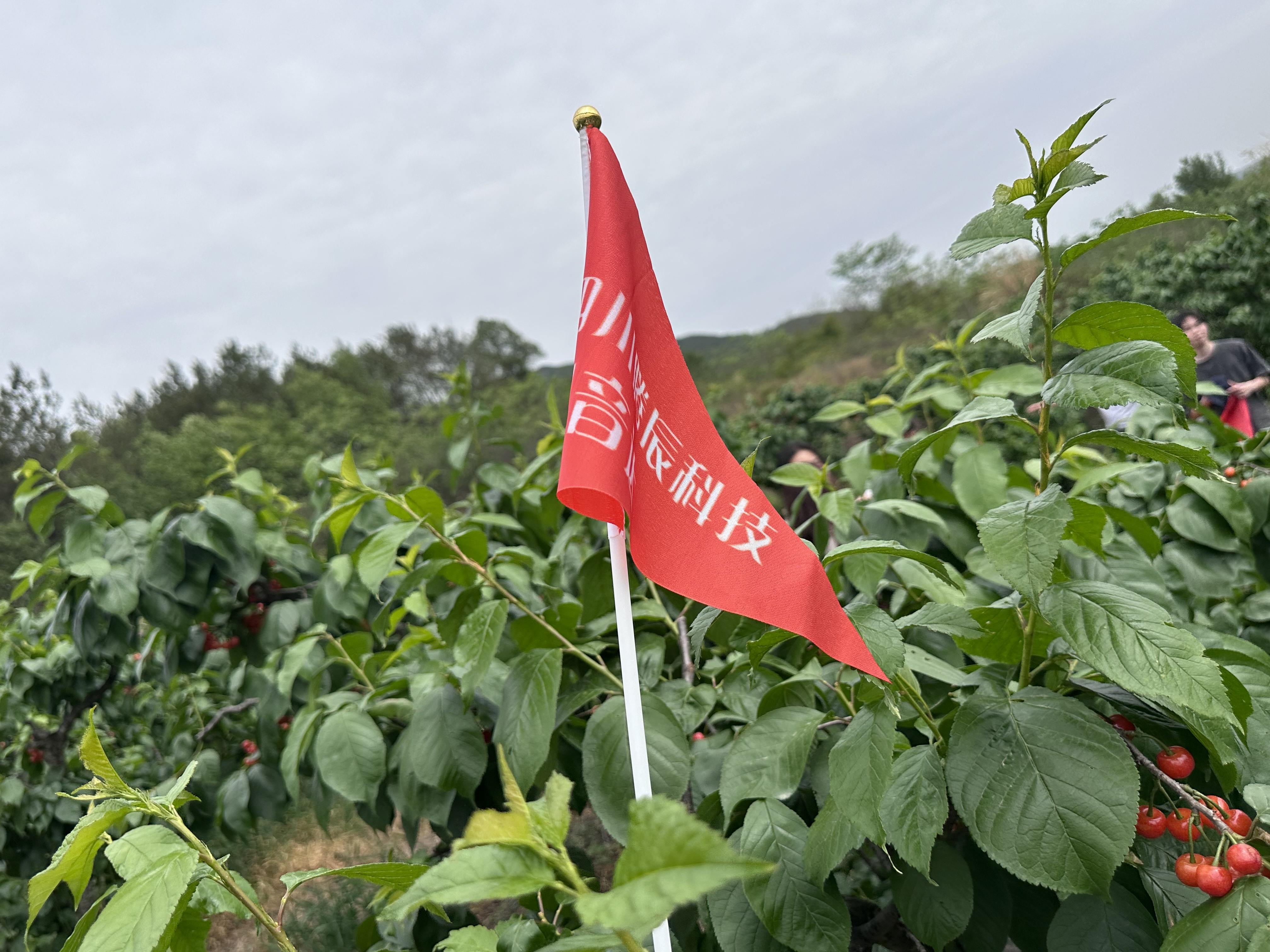 “淄”味當道，靈魂小燒烤火爆出圈